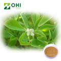 Fenugreek Extract Powder 4 Hydroxyisoleucine